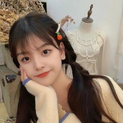 海盗岛:甲板上的家族